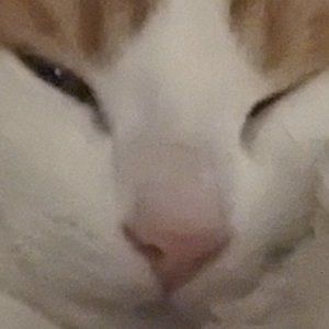 Meet your Posher, Samsara